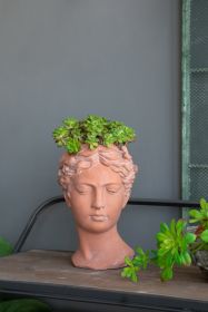 D7x11" Visage Head Bust Planter, Brown