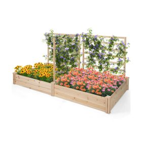 Raised Garden Bed with 2 Planter Boxes and 3 Trellis