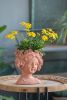 8x4x9" Visage Head Bust Planter, Brown - Home Wall Planter